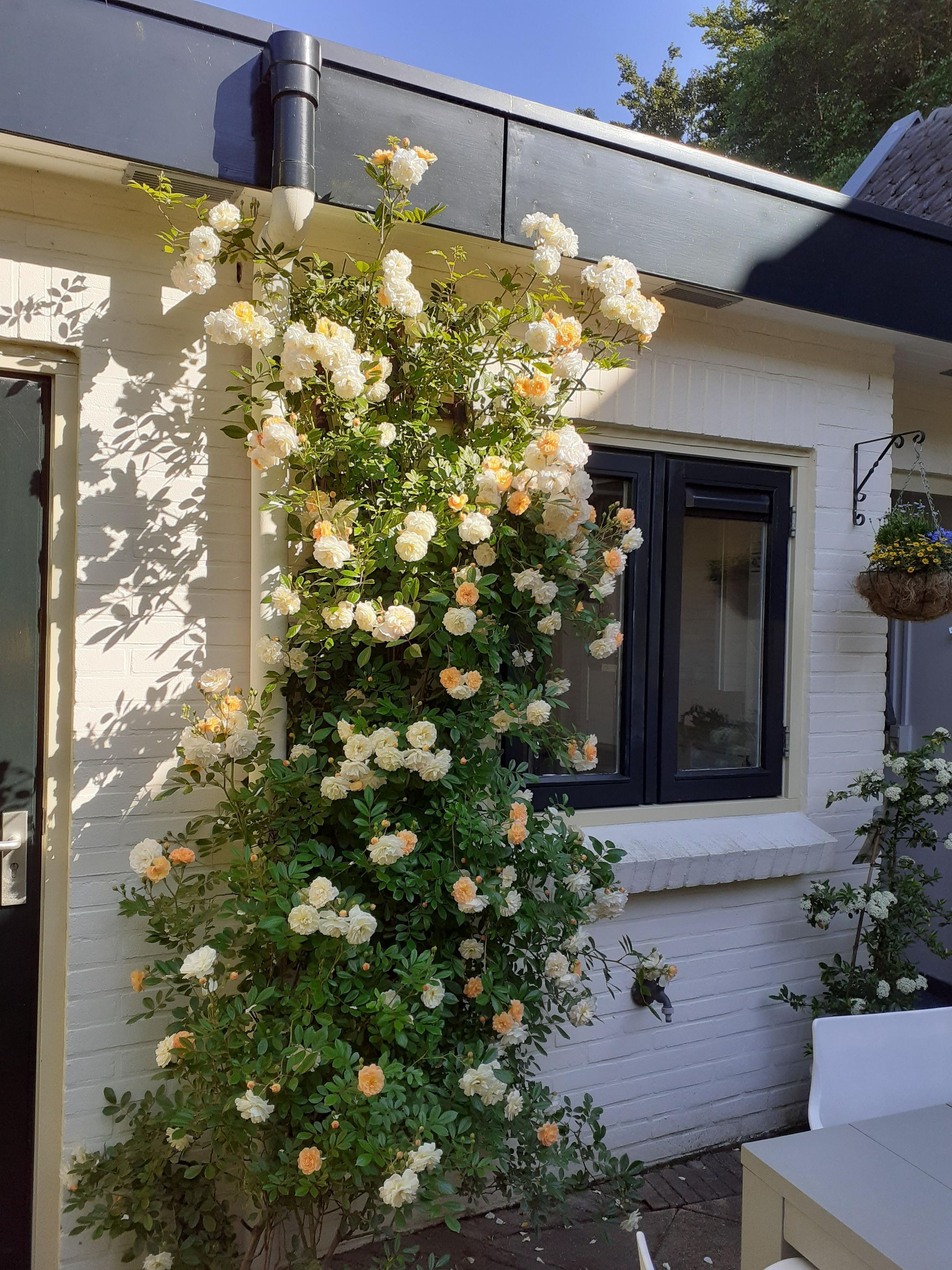 Photo 33 of van Oosthuyselaan 53