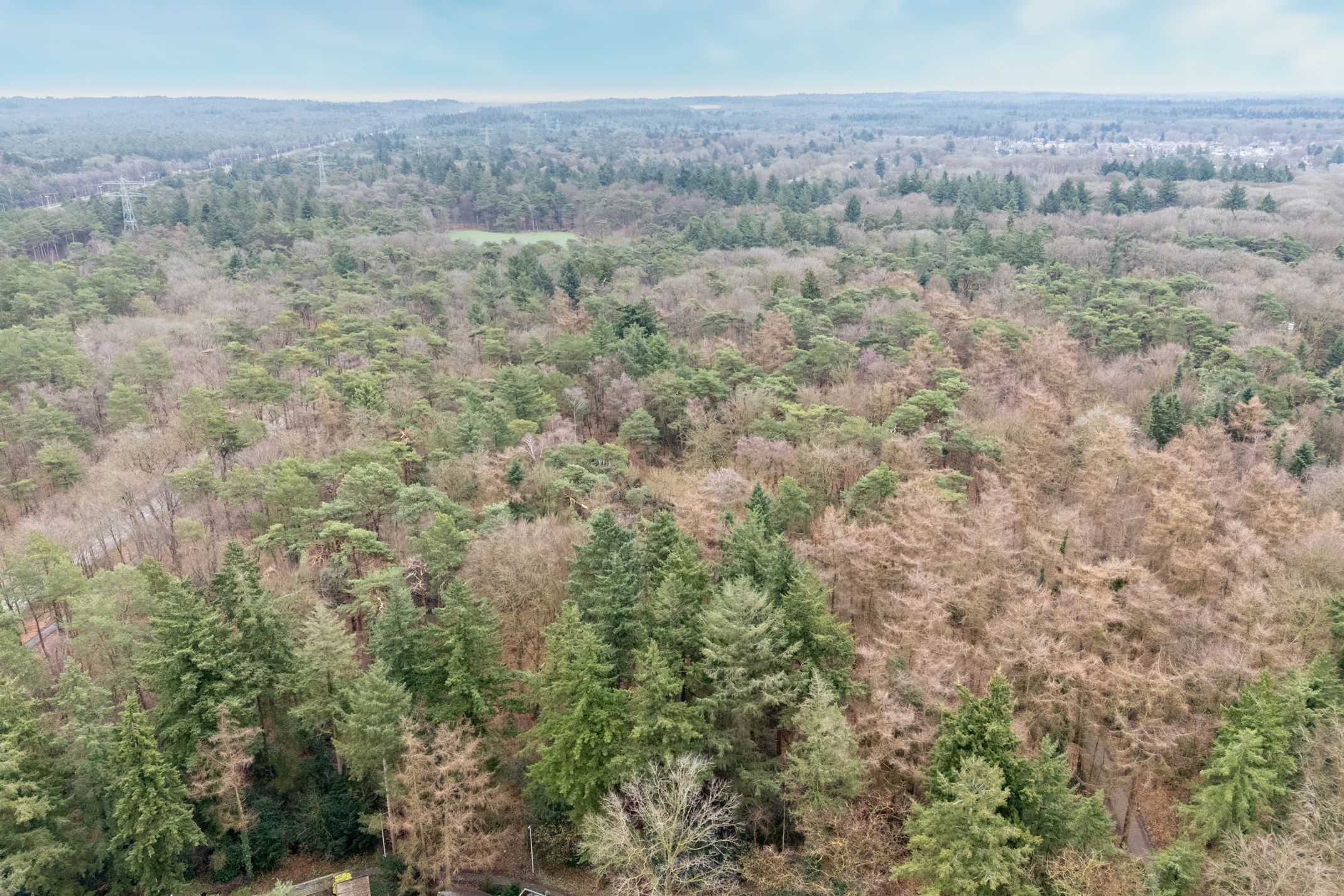 Photo 42 of van Oosthuyselaan 53