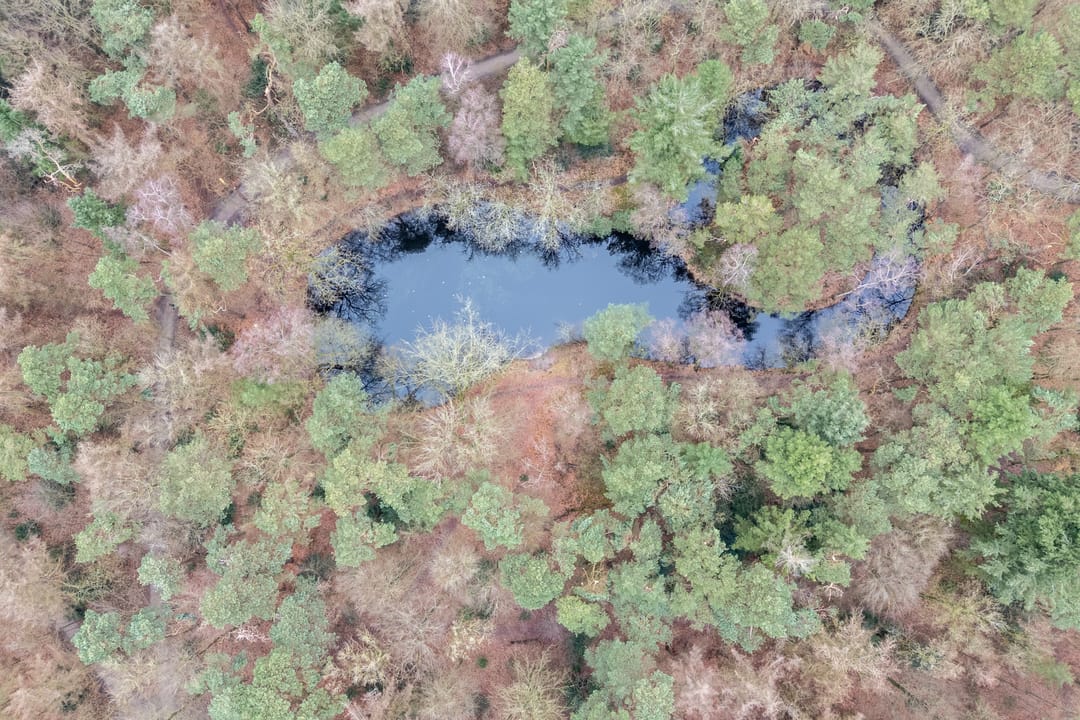 Photo 43 of van Oosthuyselaan 53