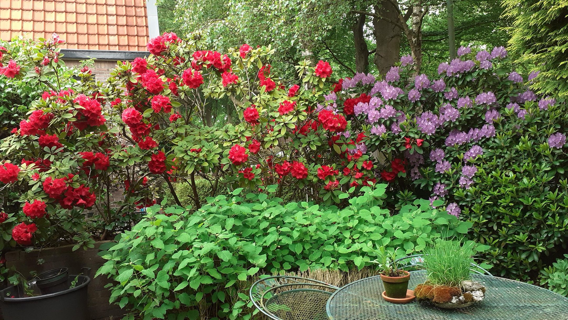 Photo 30 of van Oosthuyselaan 53