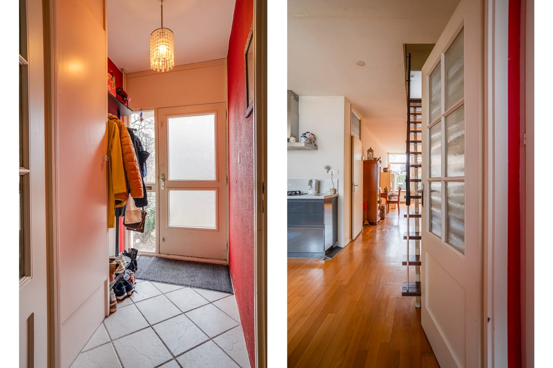 Photo 2 of Callistopad 6