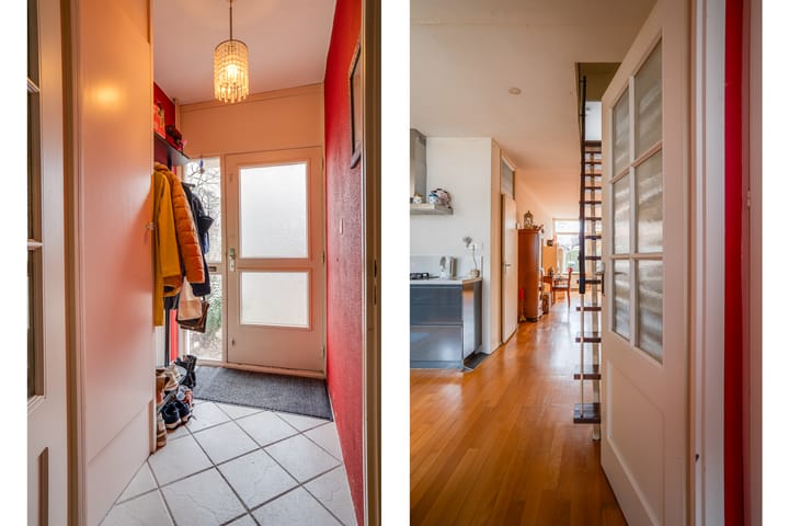 Photo 2 of Callistopad 6