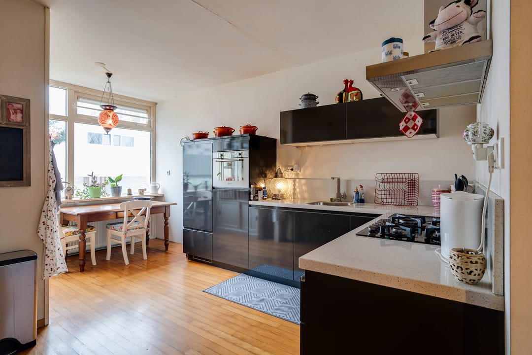 Photo 11 of Callistopad 6