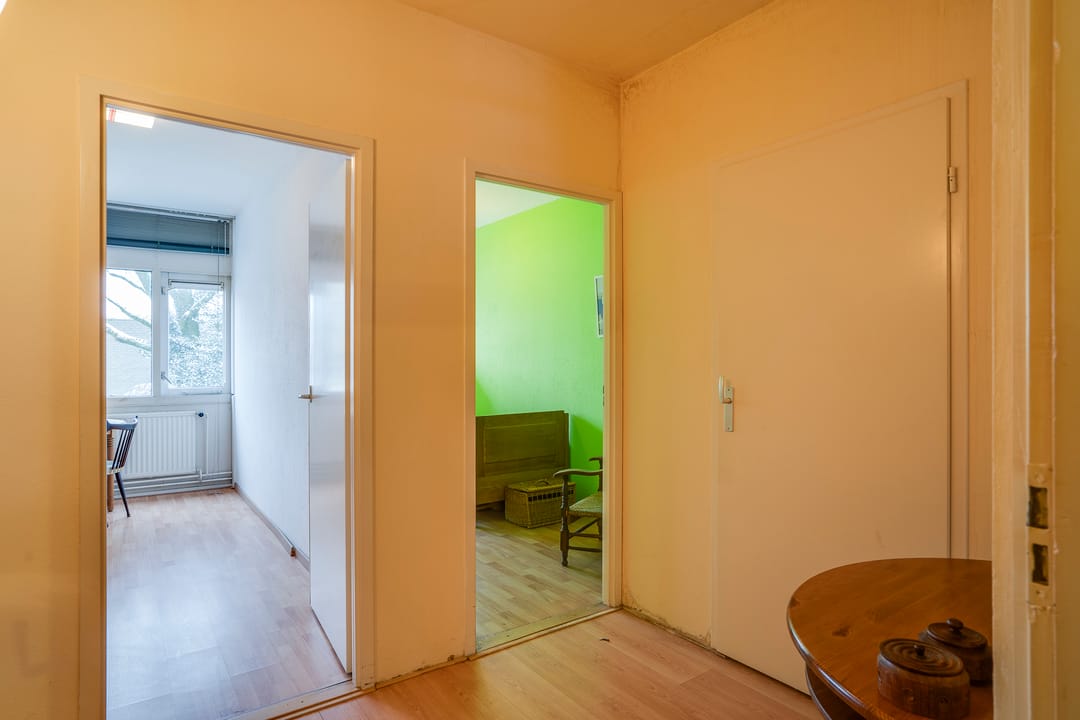 Photo 16 of Callistopad 6