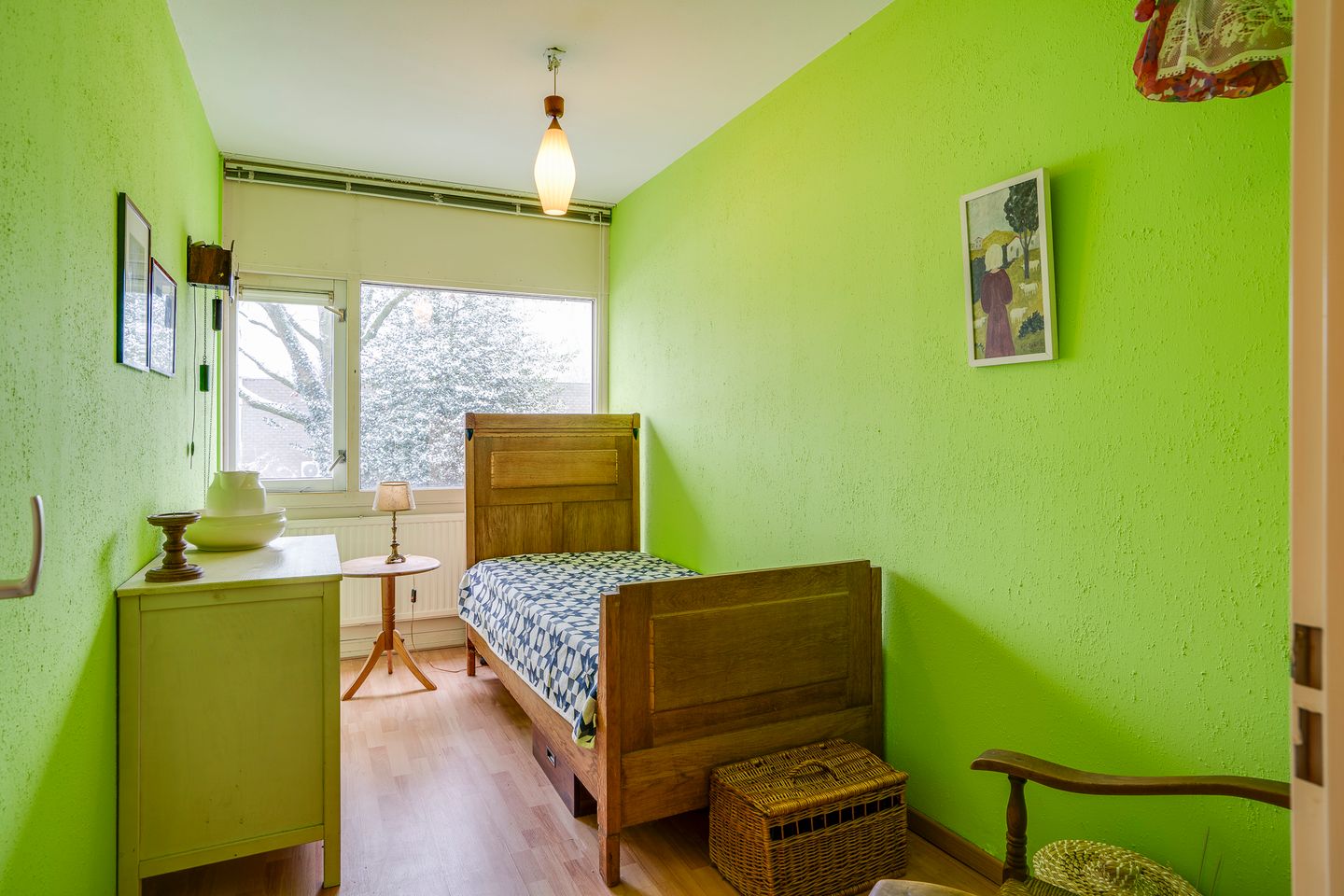 Photo 19 of Callistopad 6