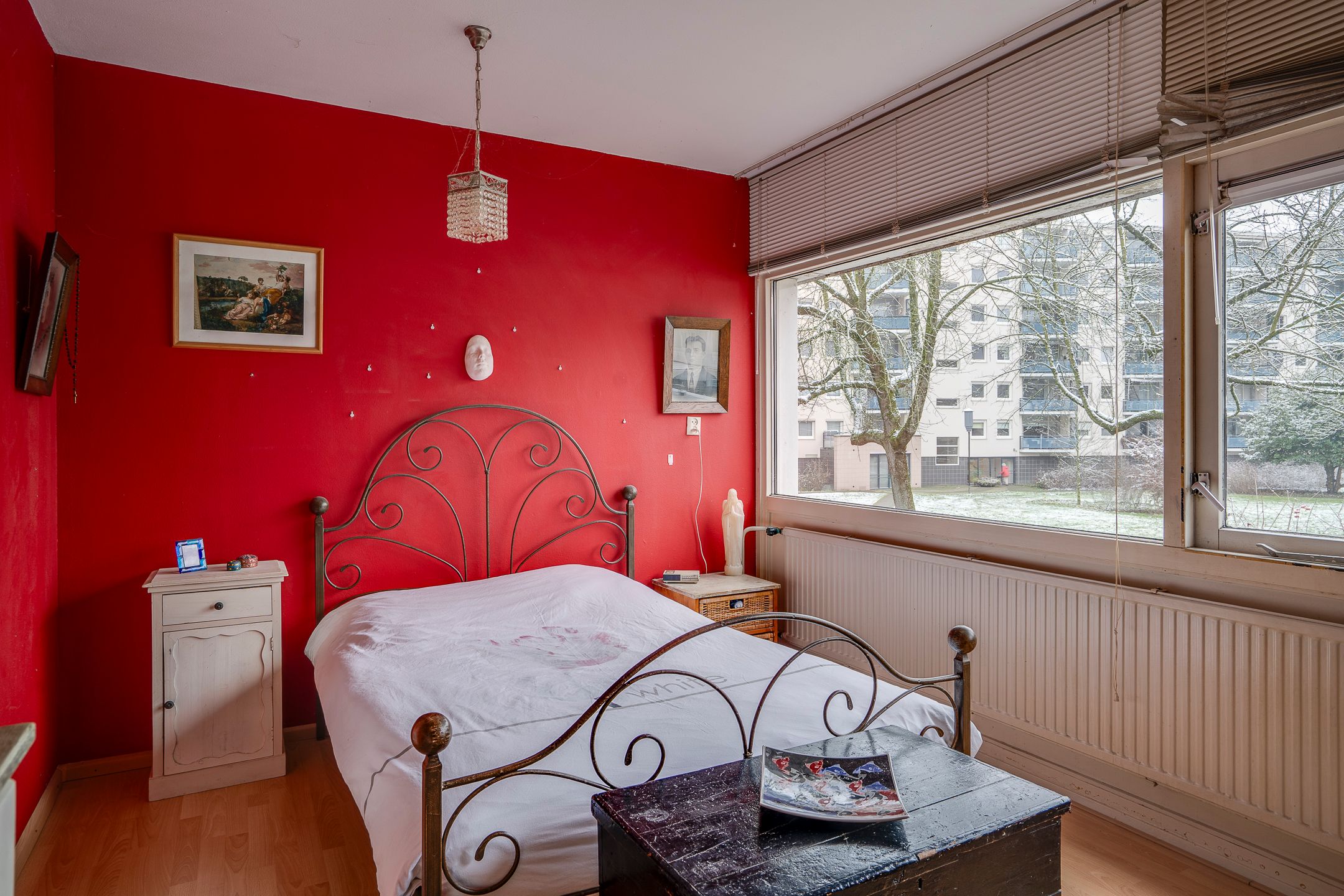 Photo 21 of Callistopad 6