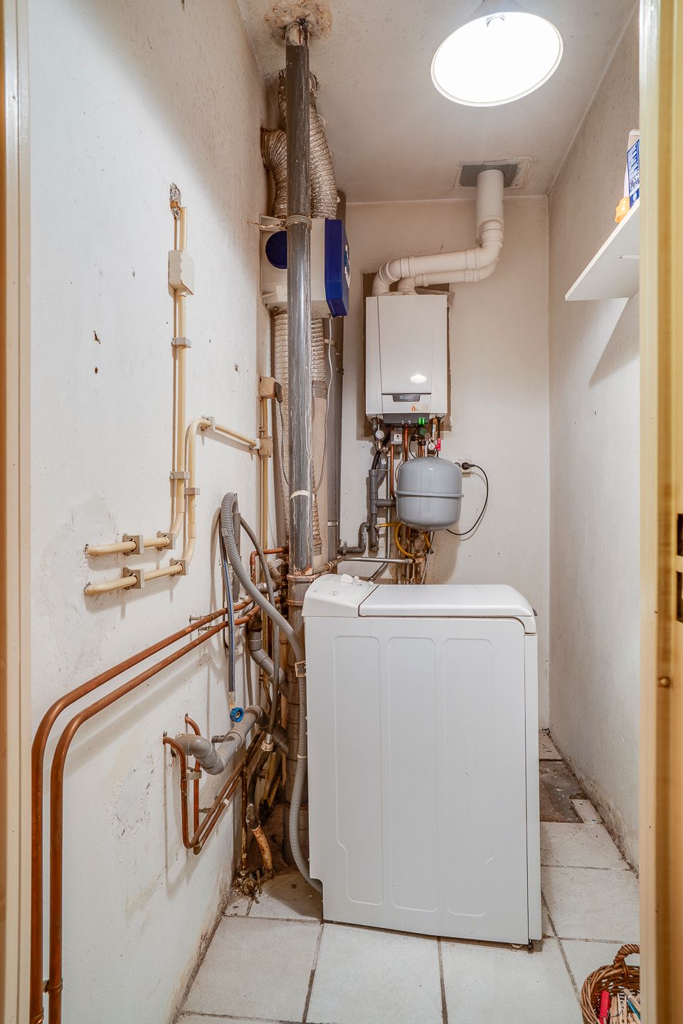 Photo 24 of Callistopad 6