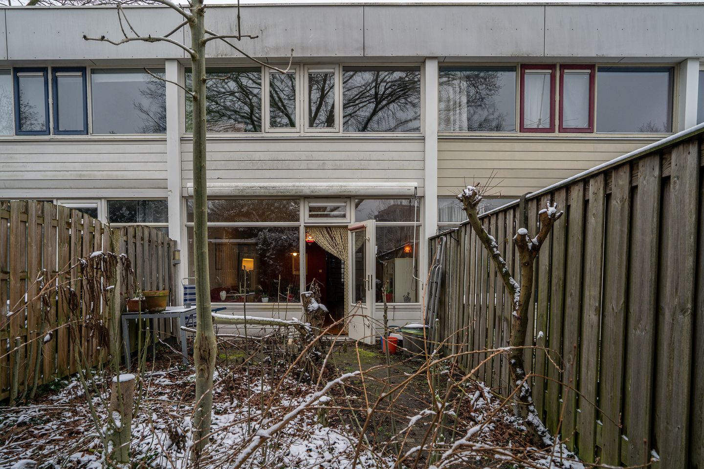 Photo 25 of Callistopad 6