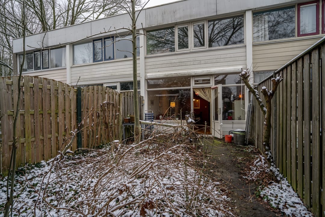 Photo 26 of Callistopad 6