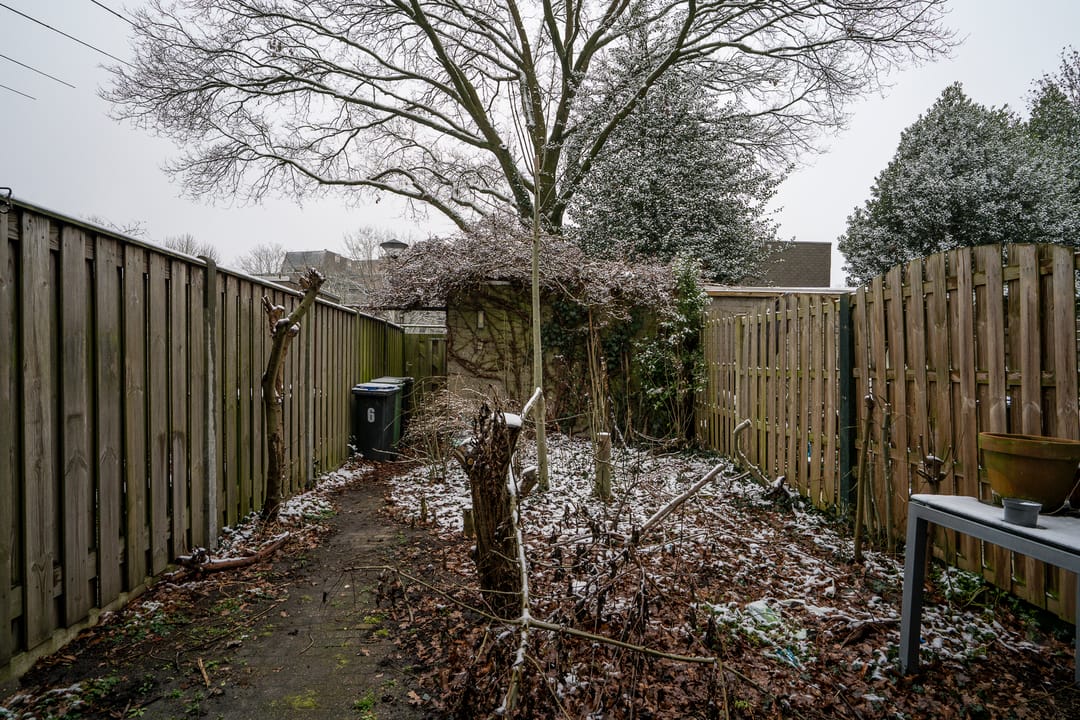 Photo 28 of Callistopad 6