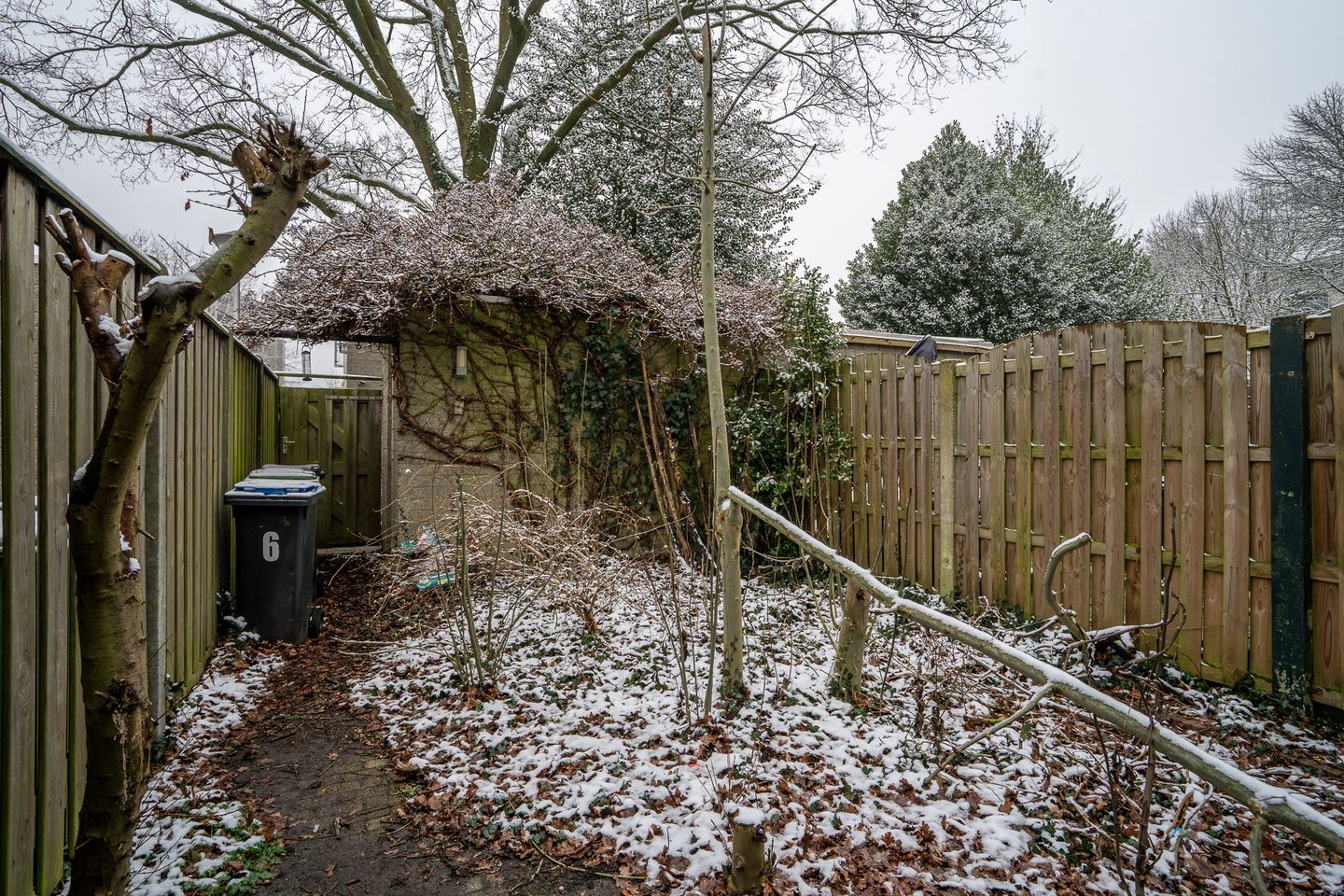 Photo 29 of Callistopad 6