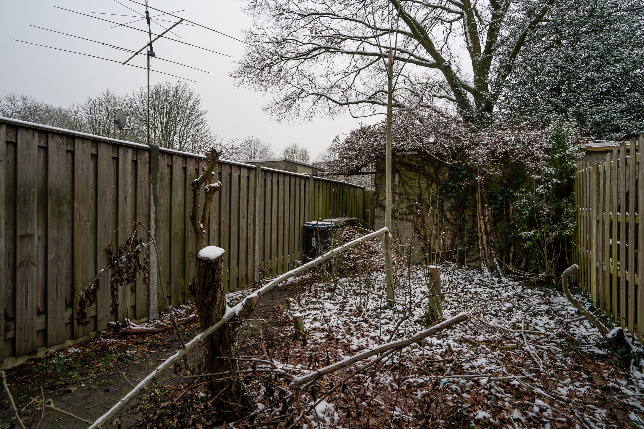 Photo 30 of Callistopad 6