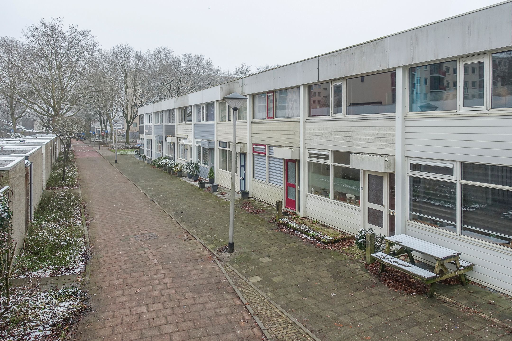 Photo 33 of Callistopad 6