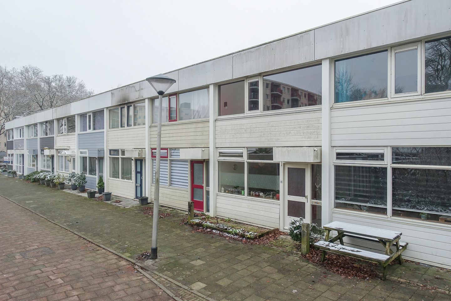 Photo 34 of Callistopad 6