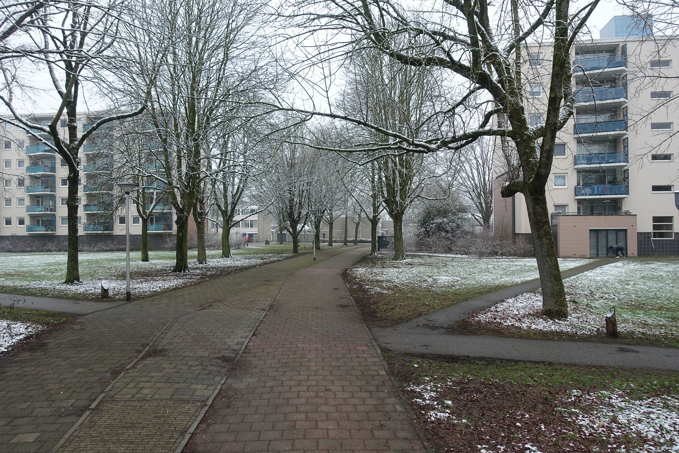 Photo 36 of Callistopad 6