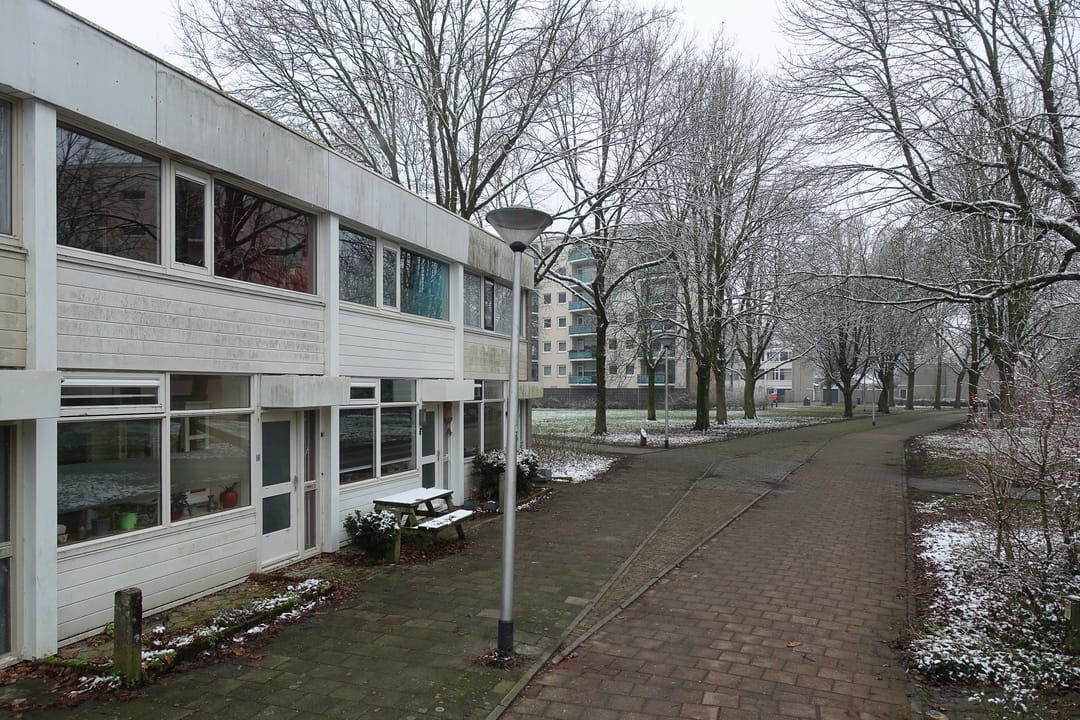 Photo 37 of Callistopad 6