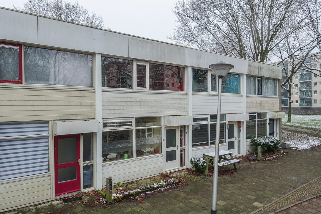 Photo 38 of Callistopad 6