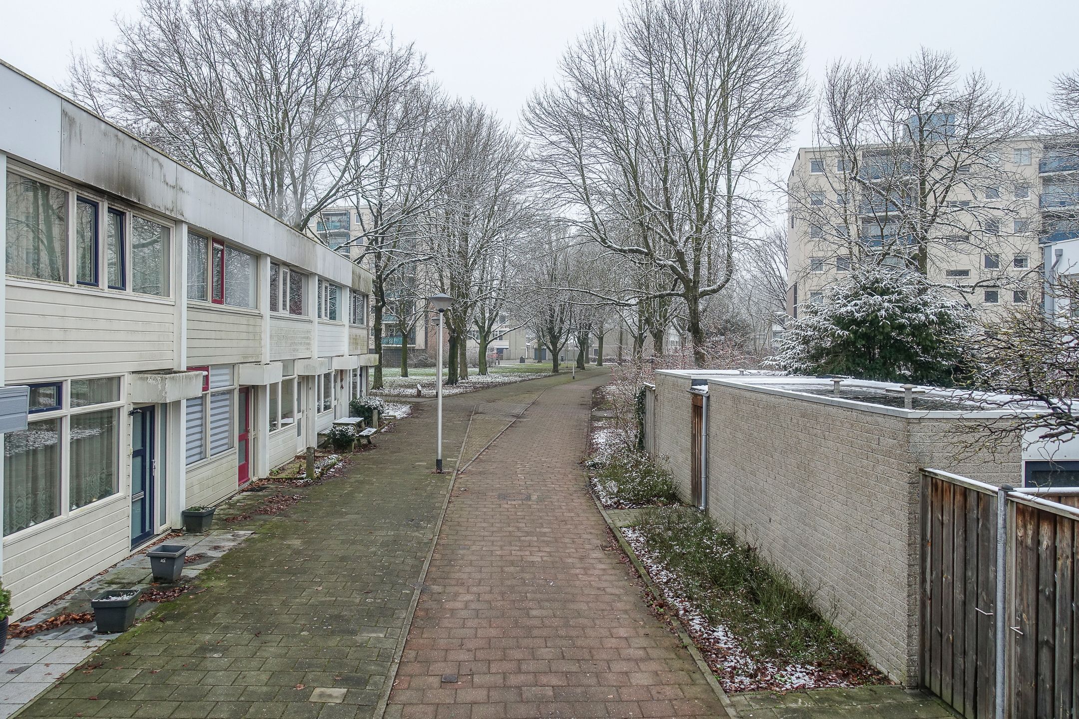 Photo 39 of Callistopad 6