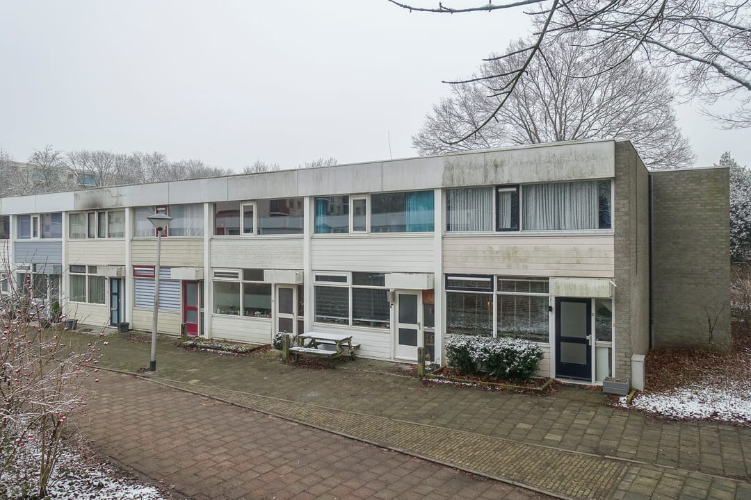 Photo 1 of Callistopad 6