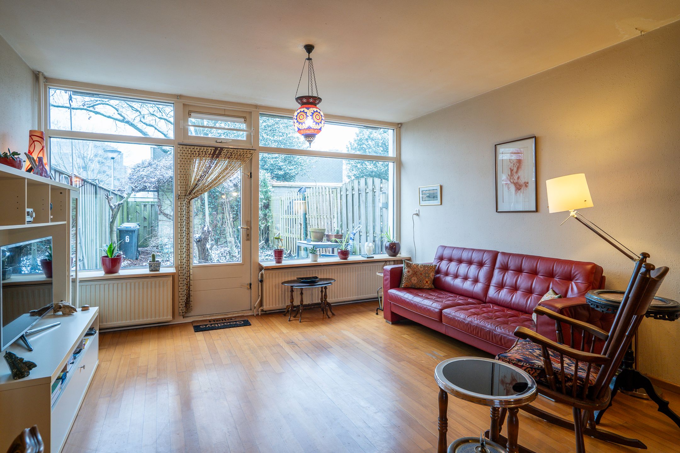 Photo 3 of Callistopad 6