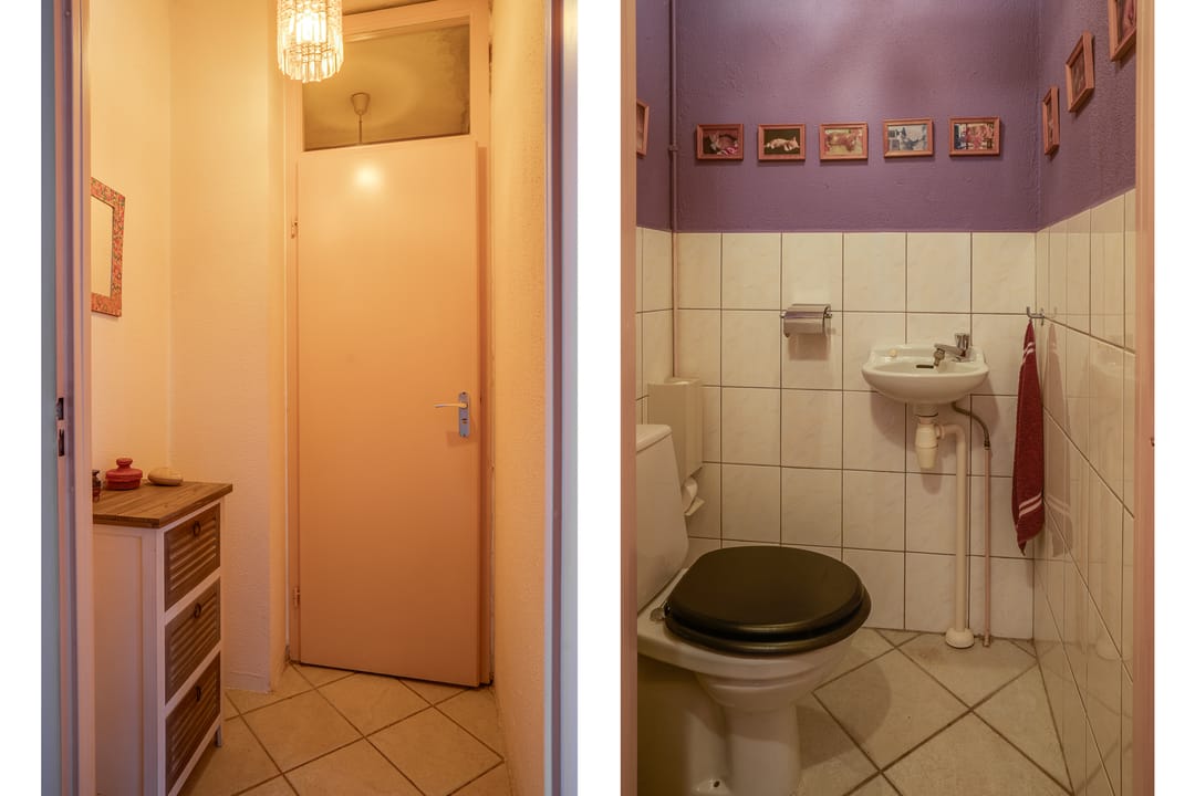 Photo 13 of Callistopad 6