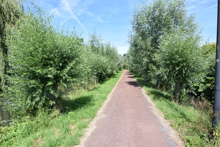 Foto 31 van Aartsbisschop Romerostraat 371