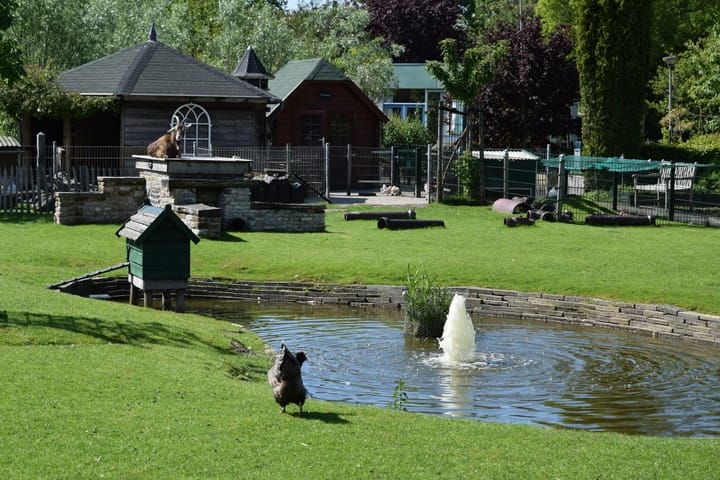 Foto 32 van Aartsbisschop Romerostraat 371