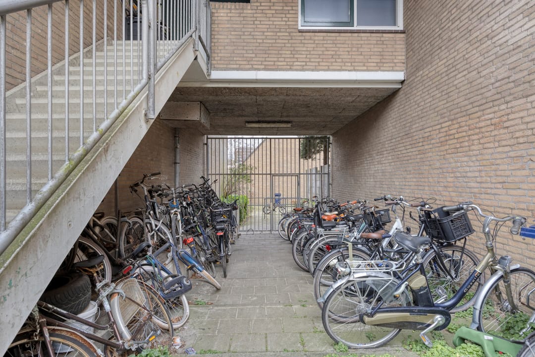 Foto 43 van Laan van de Mensenrechten 108