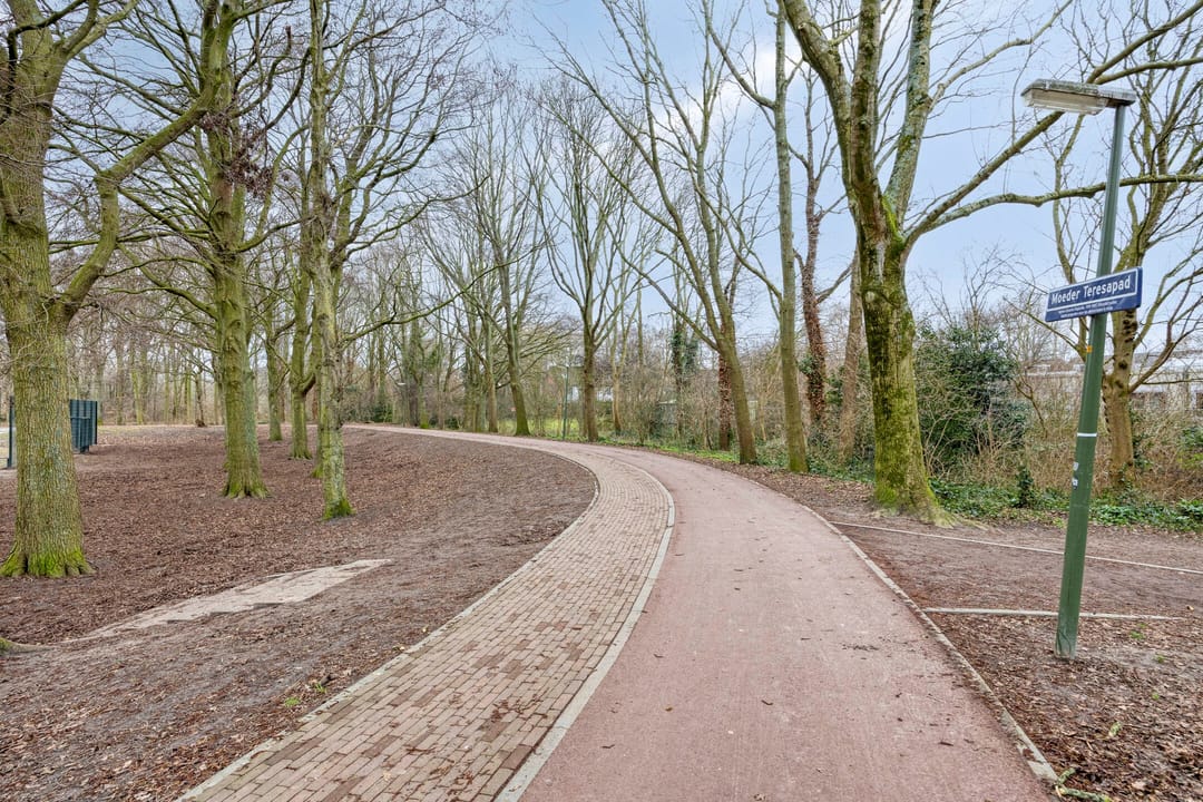 Foto 52 van Laan van de Mensenrechten 108