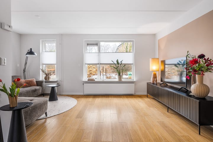 Foto 2 van Hooijengastrjitte 16