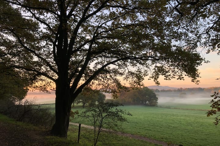 Foto 5 van Burgemeester Custerslaan 23