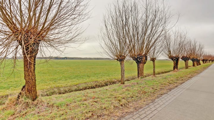 Photo 3 of Hooiweg 19
