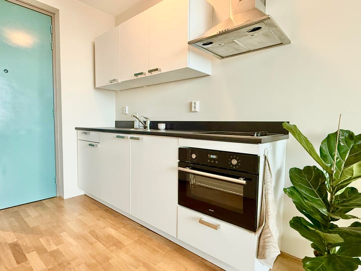 Photo 6 of Bos en Lommerplantsoen 37-H