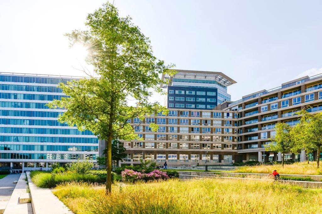 Foto 16 van Bos en Lommerplantsoen 37-H