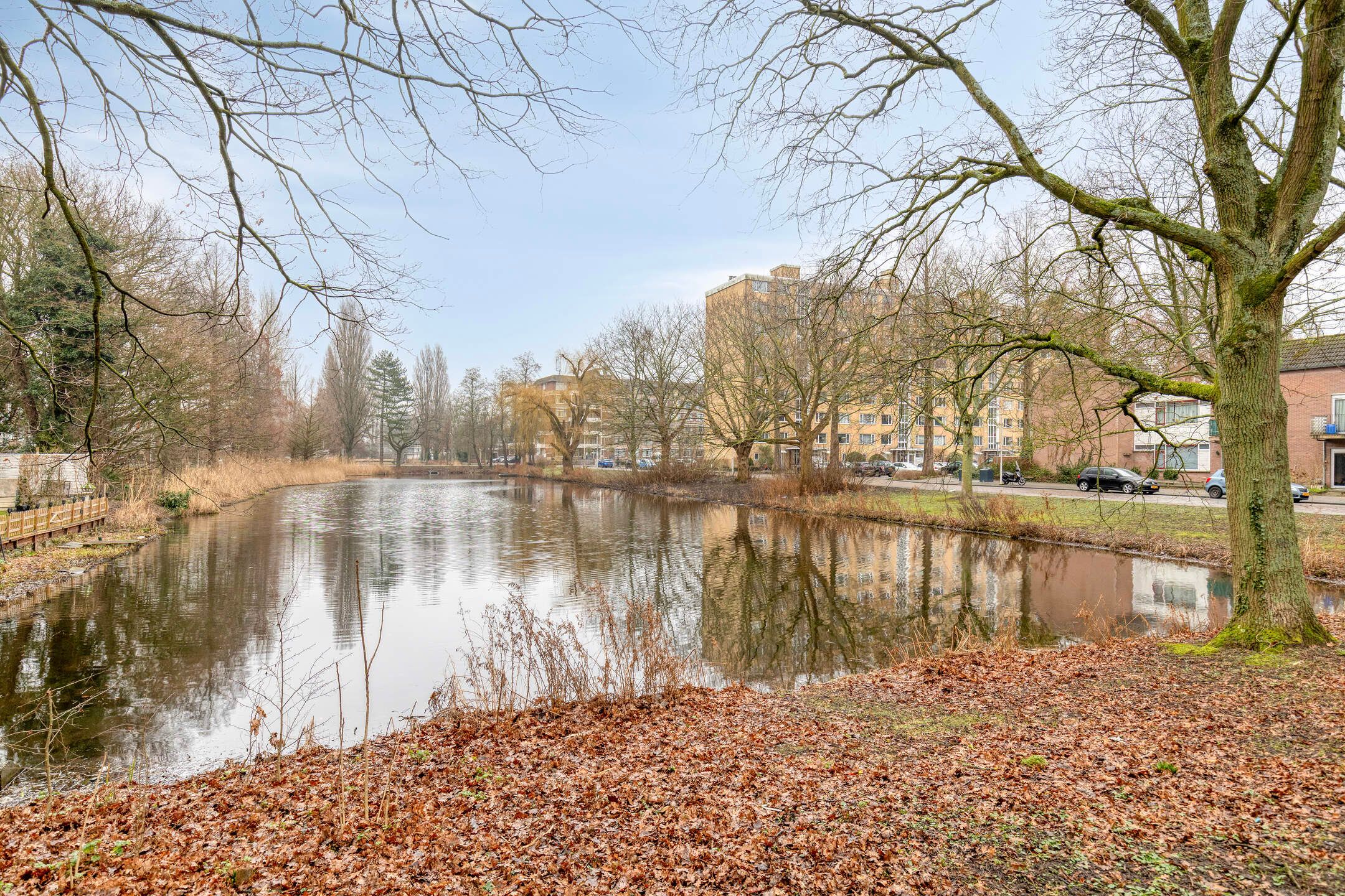 Foto 39 van Brahmslaan 123