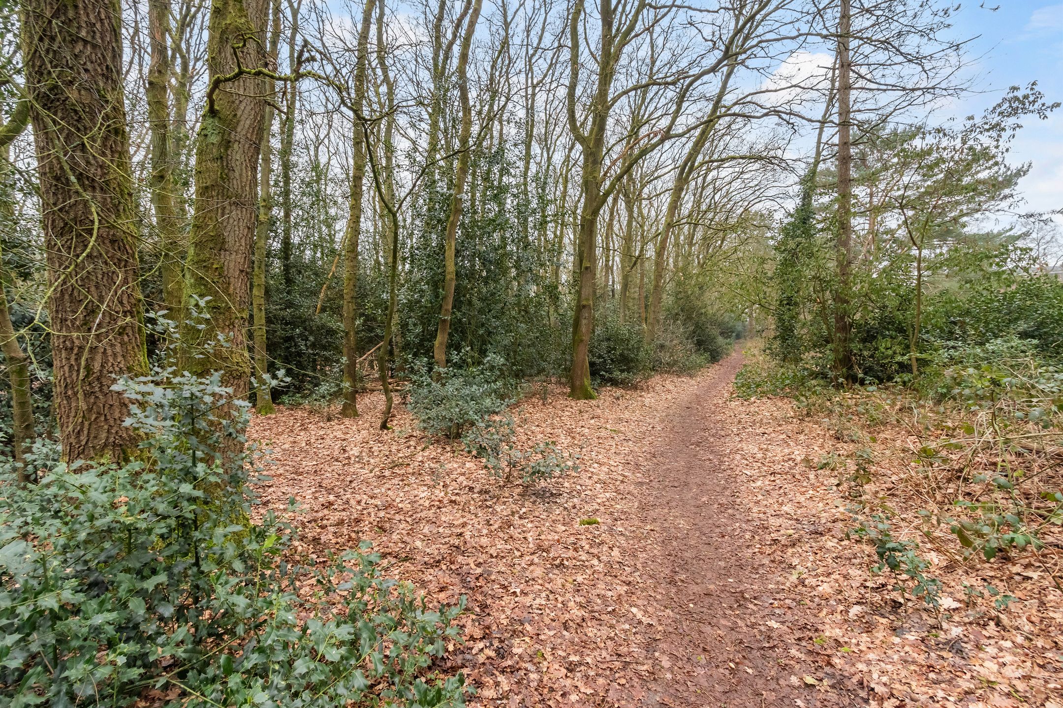 Foto 21 van Barbaragaarde 29