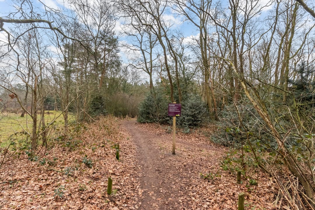 Foto 22 van Barbaragaarde 29