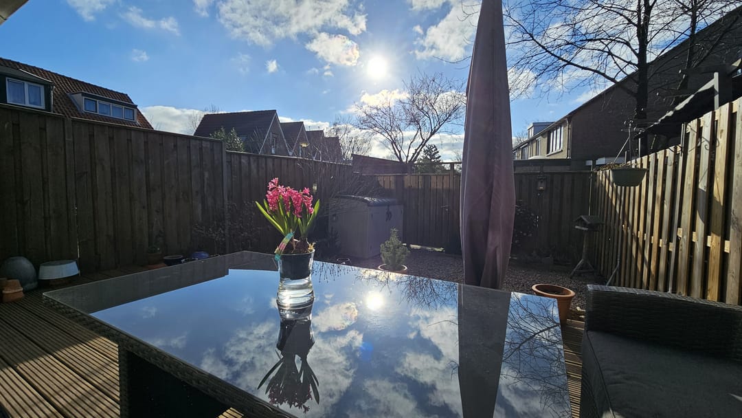 Foto 28 van Westzanerdijk 99