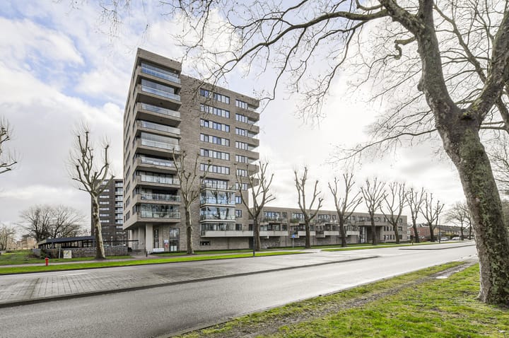 Zorgvlietstraat 3-D 5