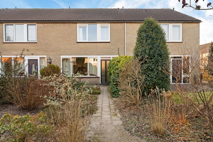 Dievelings 24 main image