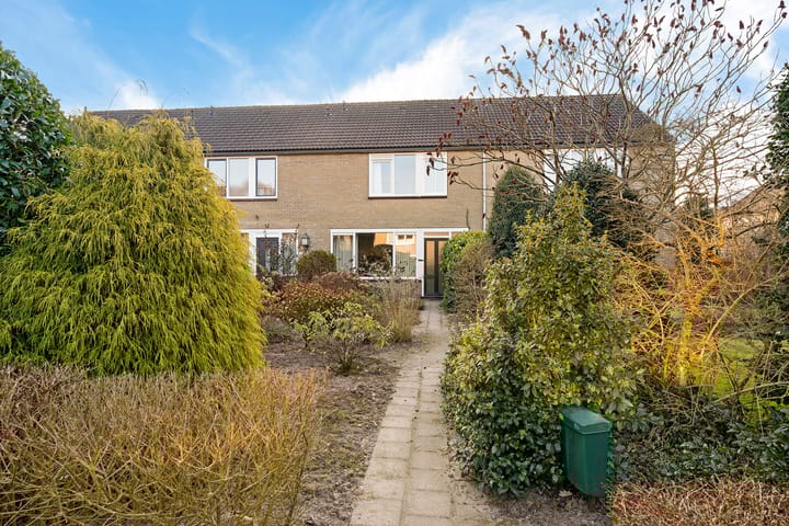 Photo 4 of Dievelings 24