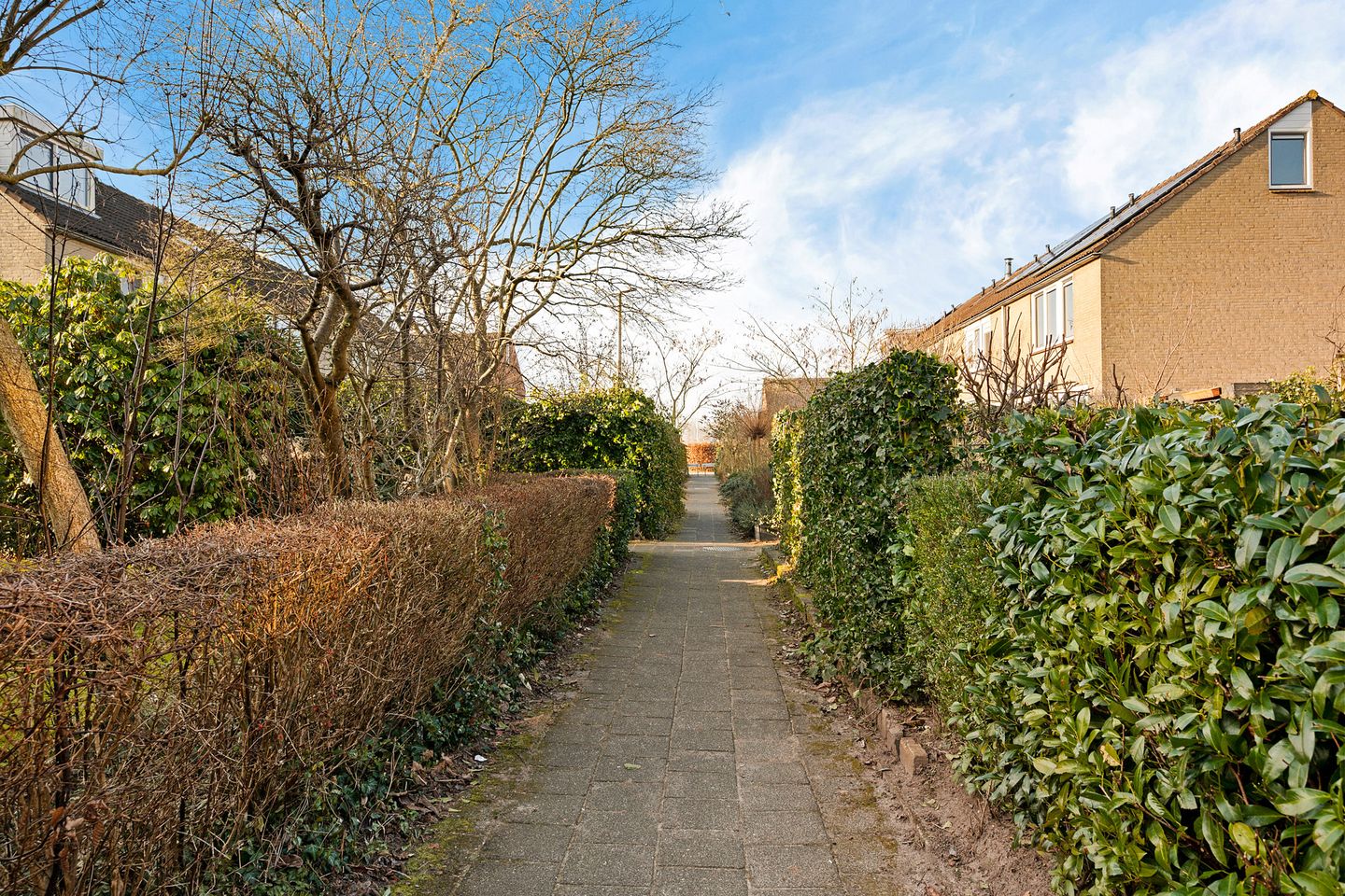 Photo 35 of Dievelings 24