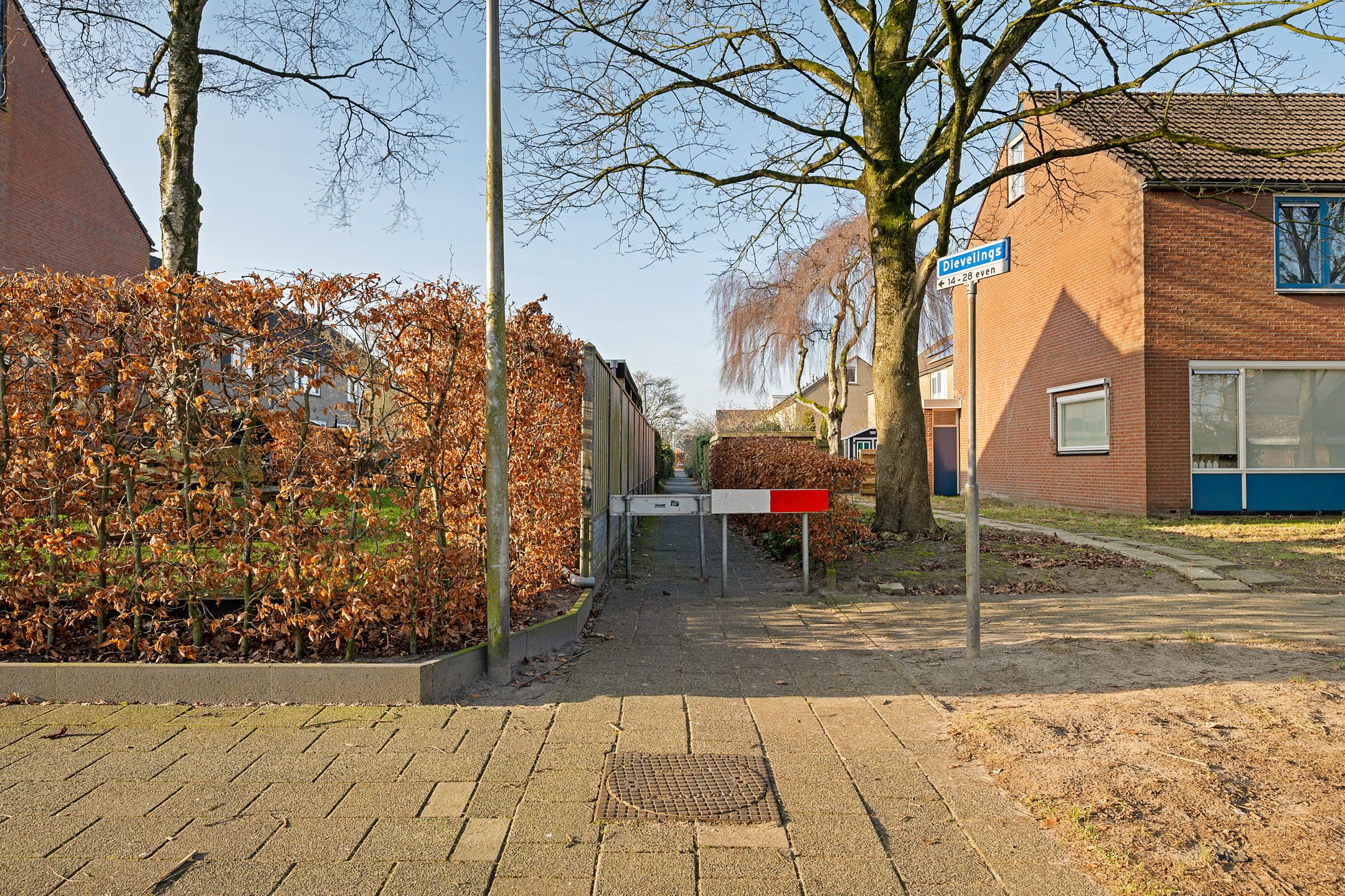 Photo 36 of Dievelings 24