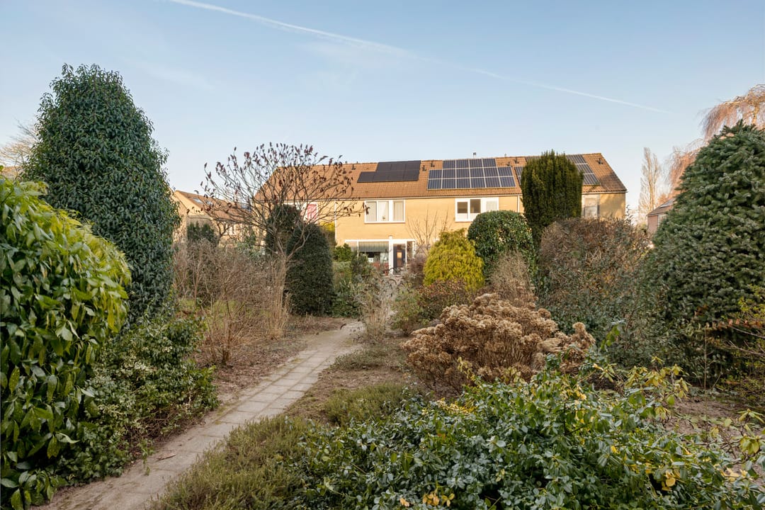 Photo 37 of Dievelings 24