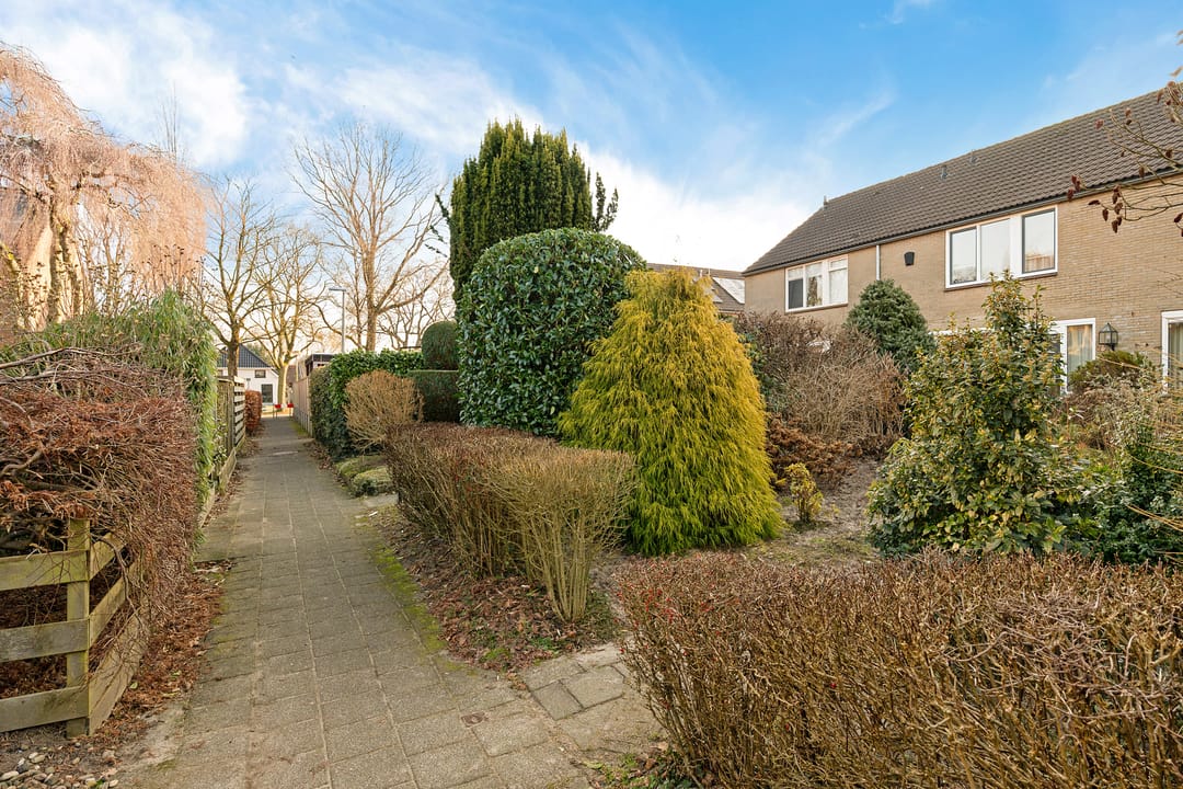 Photo 38 of Dievelings 24