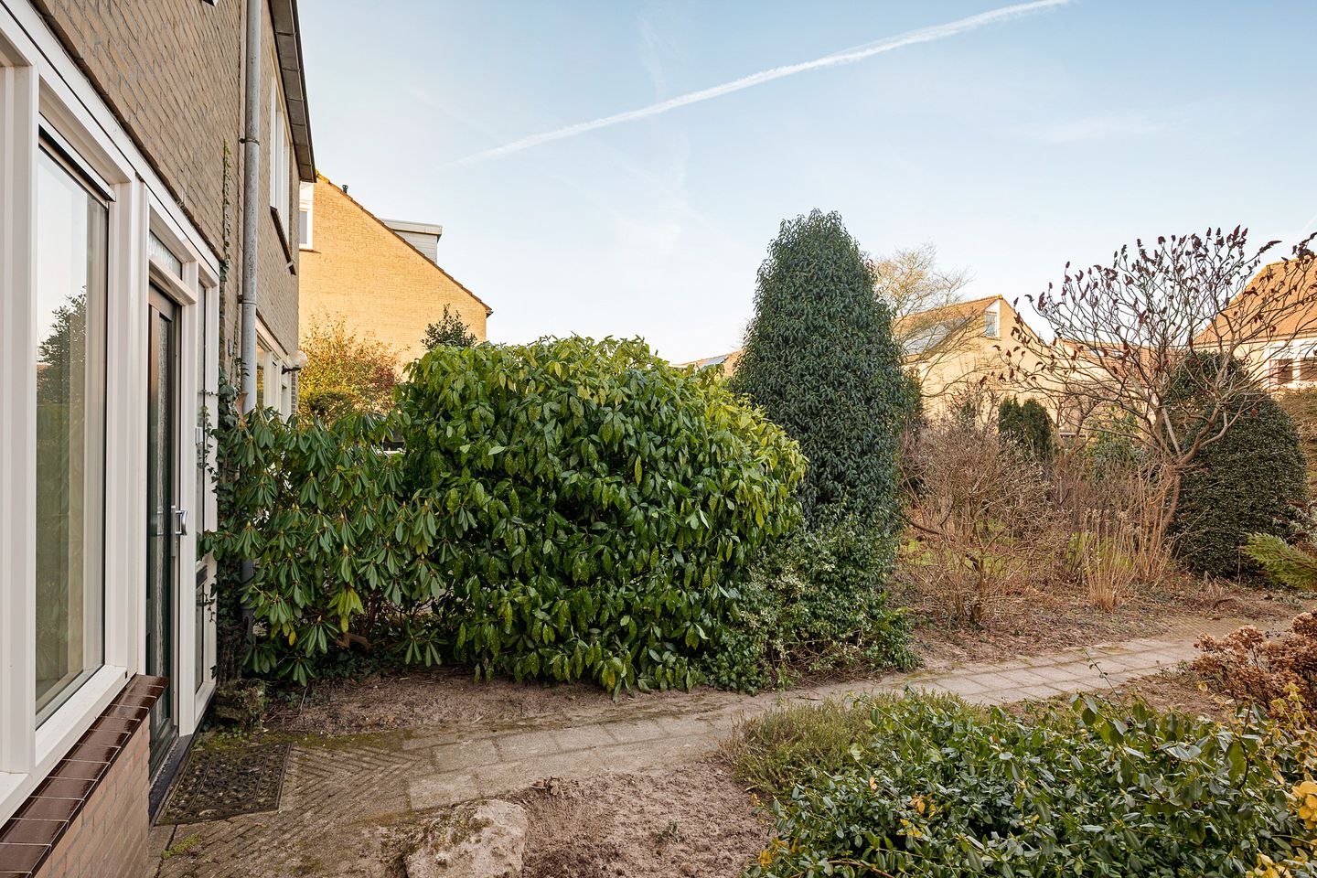 Photo 5 of Dievelings 24