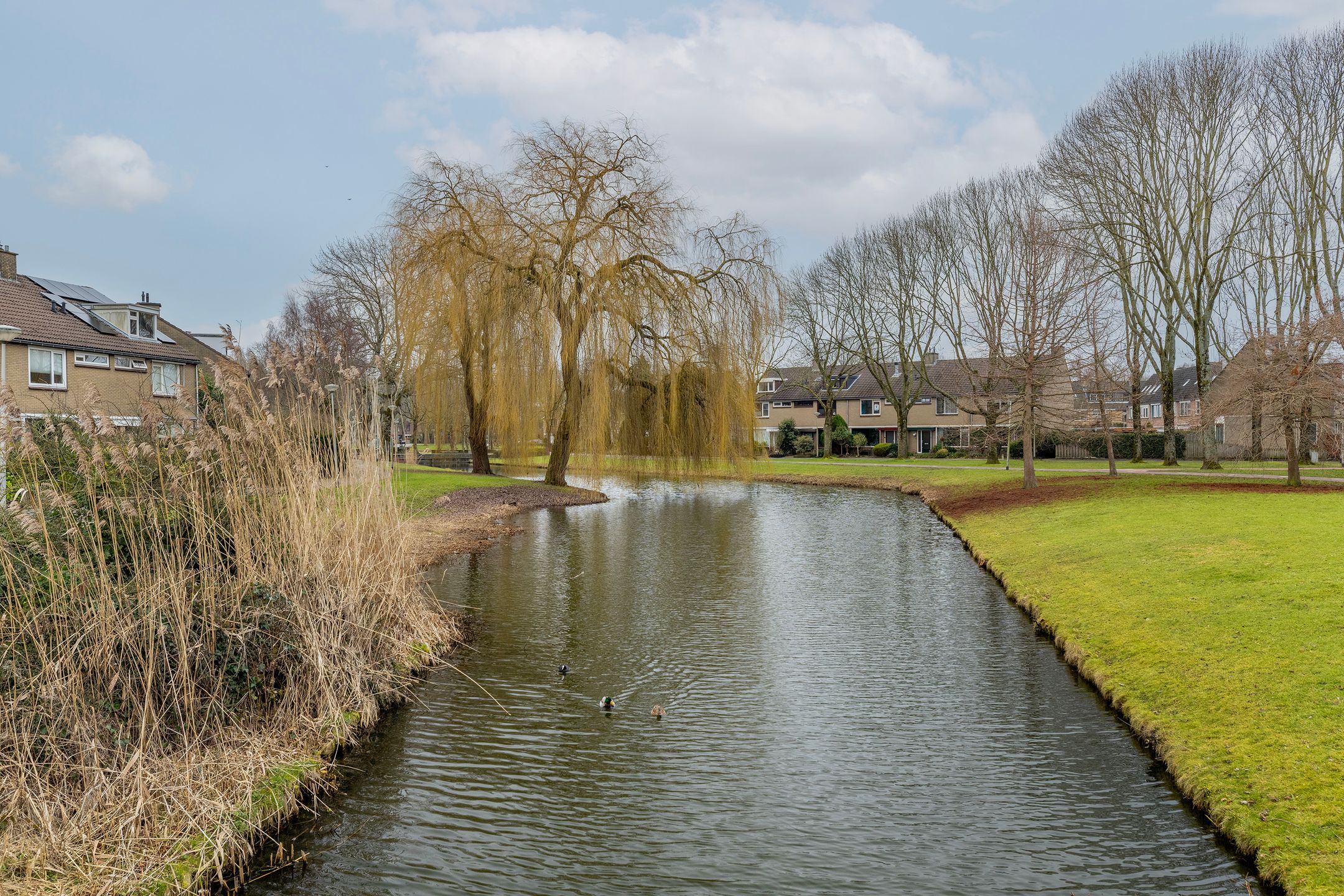 Foto 48 van Botter 16