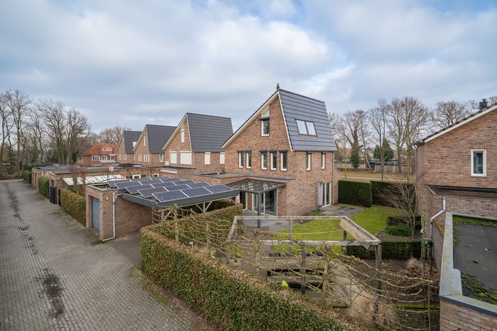 Foto 4 van Heidevlinder 8