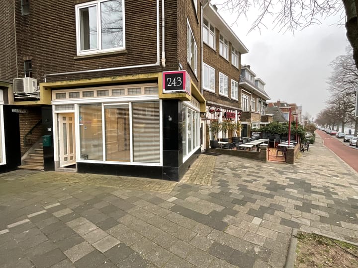 Prinses Mariannelaan 243, Voorburg