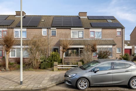 undefined main image